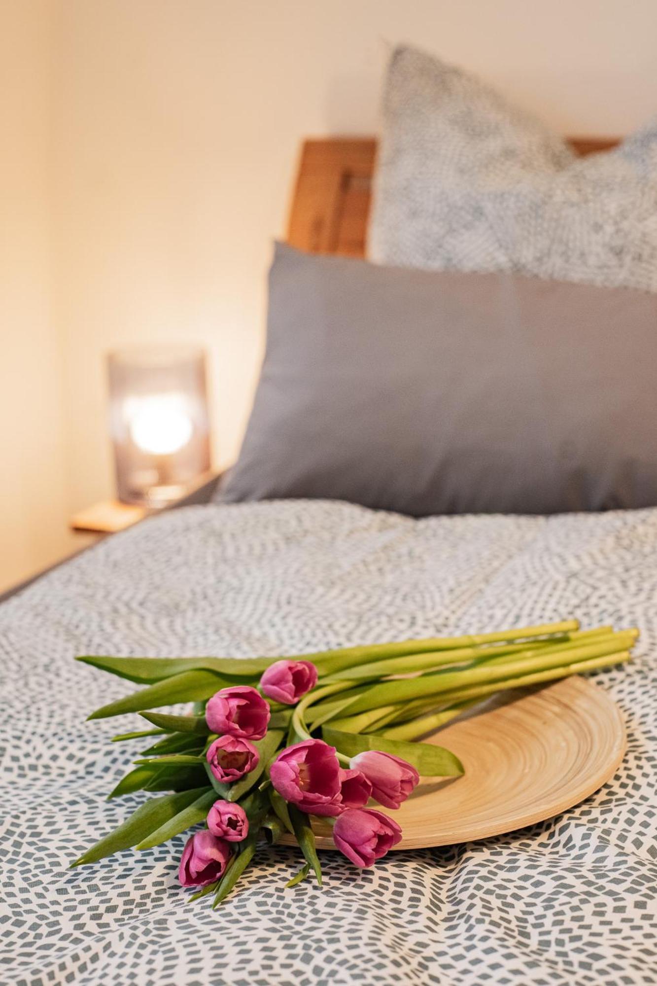 Holly Gmbh Ferienwohnungen Bad Alexandersbad Kültér fotó